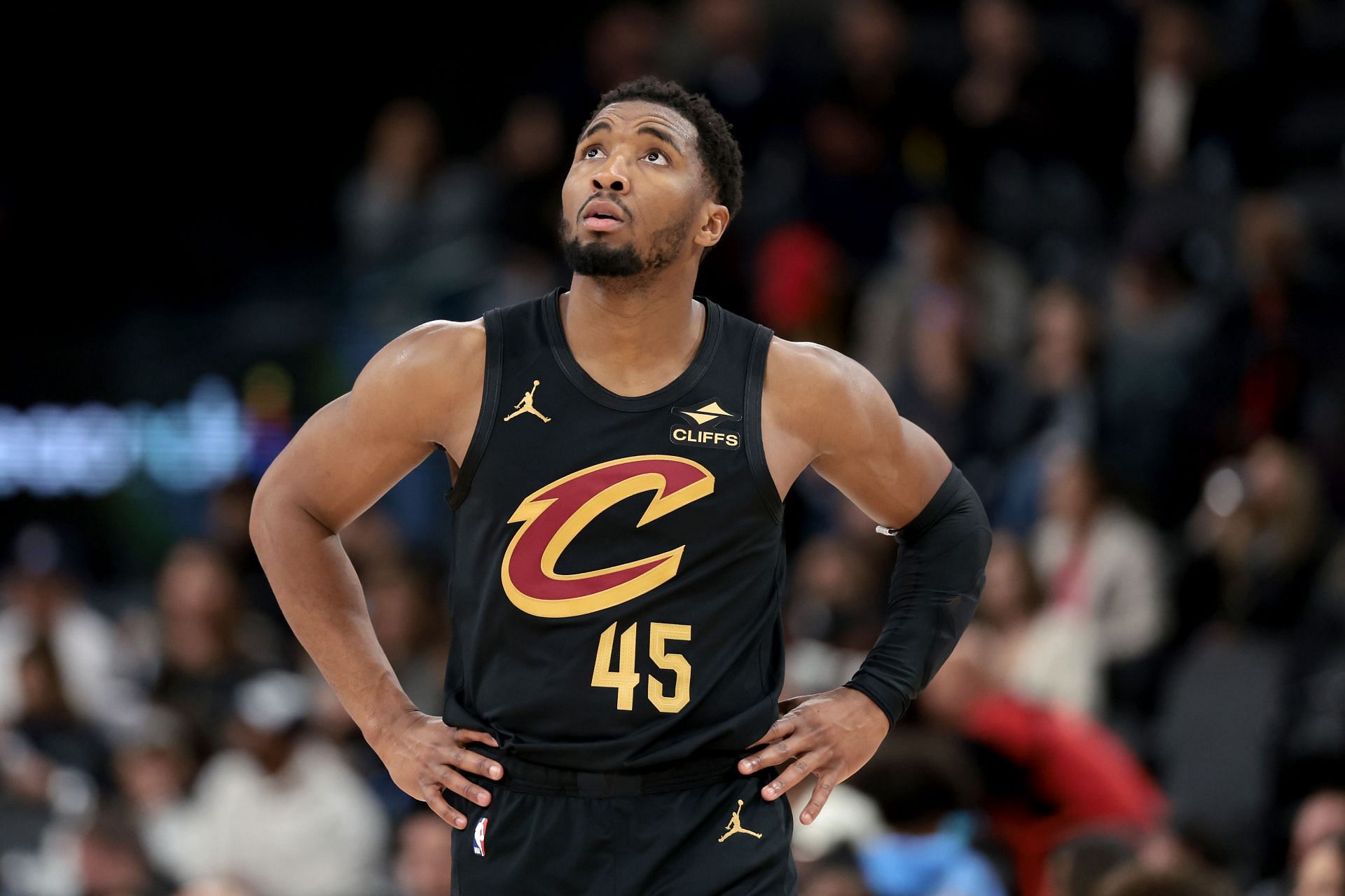 Donovan Mitchell Wingspan